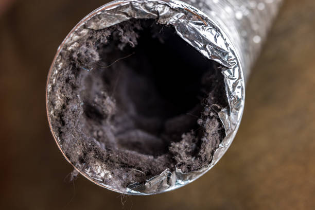 Best Air Duct Cleaning Near Me  in Senath, MO