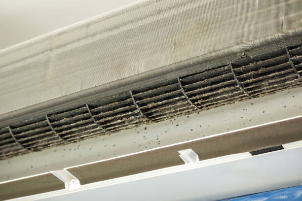 Best Air Duct Cleaning Near Me  in Senath, MO